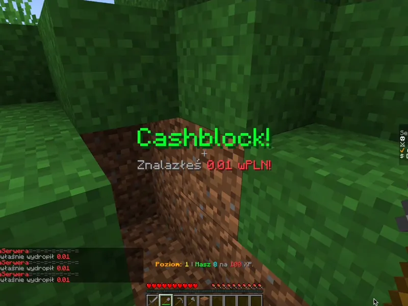 Pole wydobywcze Minecraft